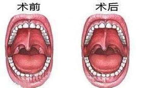 һֱô죿